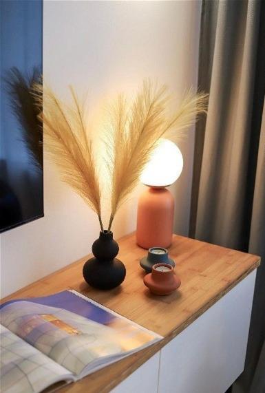 Designer Studio With Bedroom Near Old Town Dubois 华沙 外观 照片